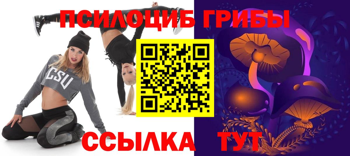 Галлюциногенные грибы Cubensis Полевской